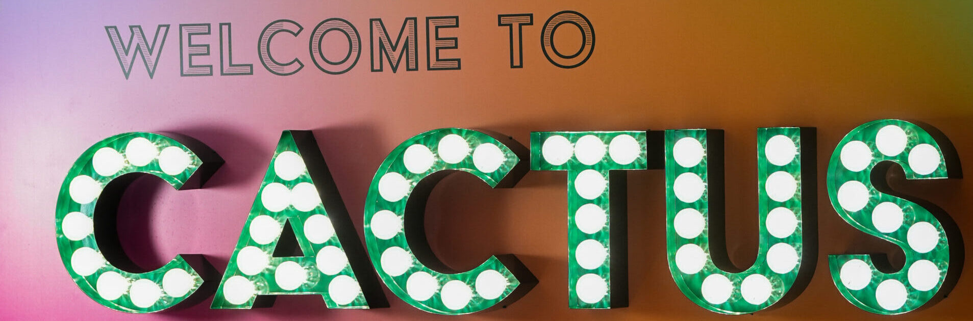 Cactus Graphics 11 scaled e1751534648886