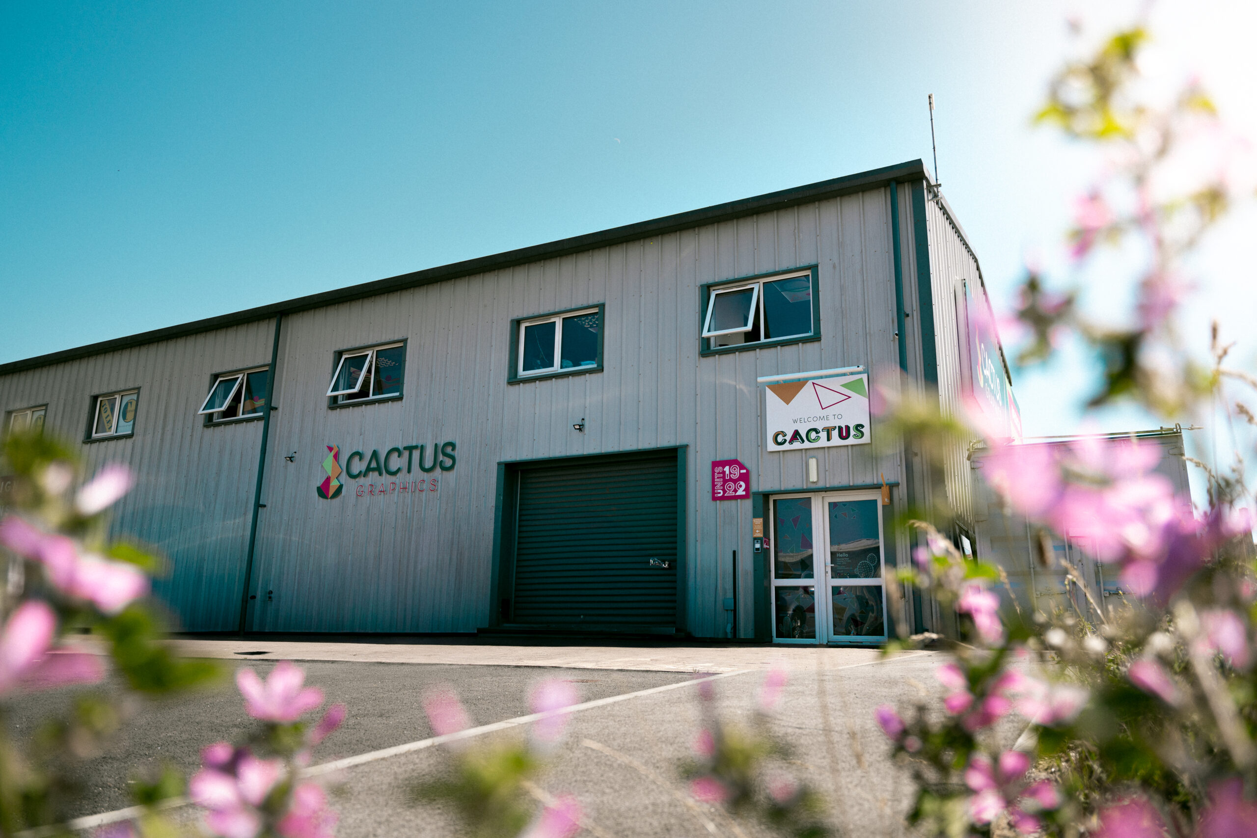 Cactus Graphics 2 01 scaled